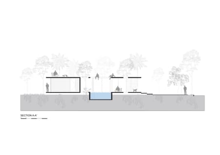 A Forest in the House